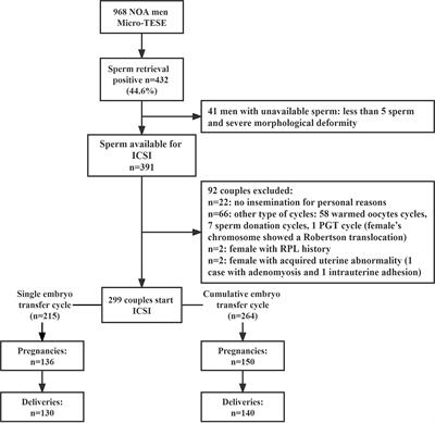 Clinical Outcomes and Live Birth Rate Resulted From Microdissection Testicular Sperm Extraction With ICSI-IVF in Non-Obstructive Azoospermia: A Single-Center Cohort Study